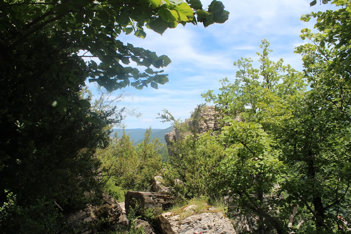 Torcieux - La Croix des moines - Les Moines - le près Charvet IMG_3344