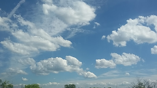 Eastwood MetroPark