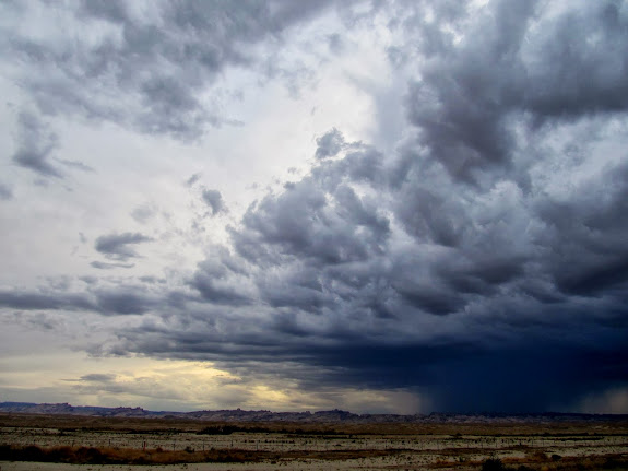 Leading edge of the storm during the drive home