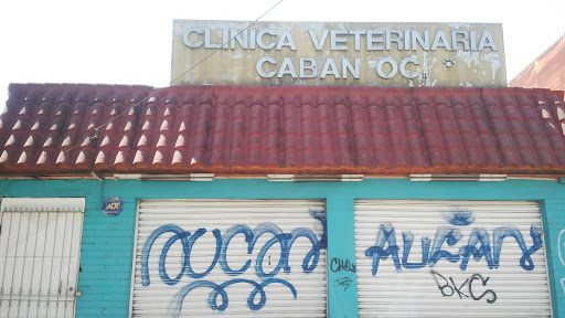 Clínica Veterinaria Caban OC, La Estrella 1059, Pudahuel, Región Metropolitana, Chile, Cuidado veterinario | Región Metropolitana de Santiago