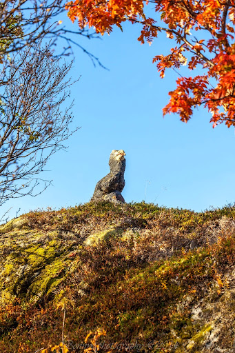 Stone eagle in Norway. Photographer Benny Høynes