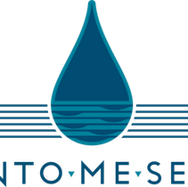 IntoMeSea logo
