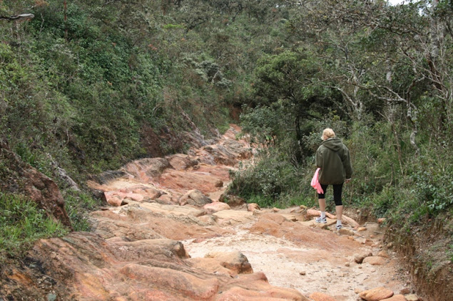 Sri Lankа - сейчас. Много фото пляжей. Sri Lankа - сейчас. Много фото пляжей.