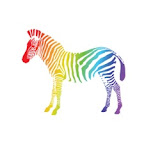 Online Zebra | Agencia SEO y Google Ads