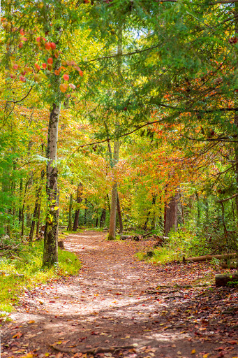 Cades Cove