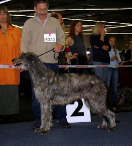 anastasia_duza1.jpg