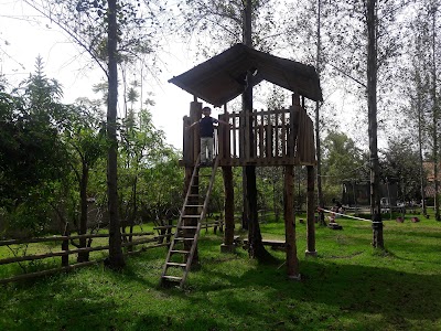Photos of Petirrojo Haus