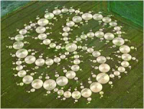 The Largest Cropcircle Ever Seen