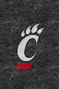 Cincinnati%252520Bearcats%252520Black.jpg