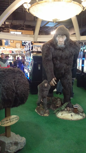 Casino «Sasquatch Casino», reviews and photos, 125 Gregory St, Black Hawk, CO 80422, USA