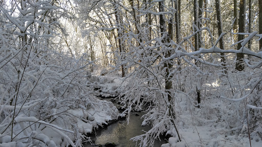 Nature Preserve «Lowami Hart Woods Natural Area», reviews and photos, 14895 SW Hart Rd, Beaverton, OR 97007, USA