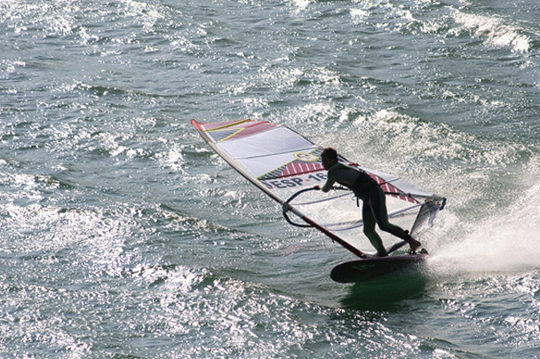 105-IMG_1738-MOTION.gif