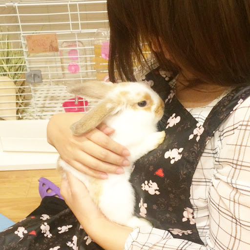 Bunny Cafe Moff Rell