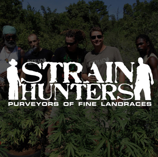 Strain Hunters Coffeeshop logo