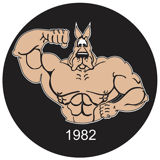 FULTON 1982 logo