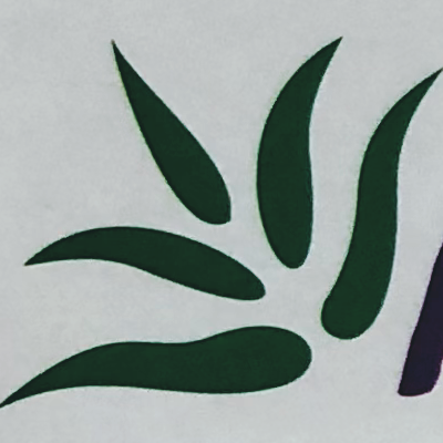 Naturàura logo