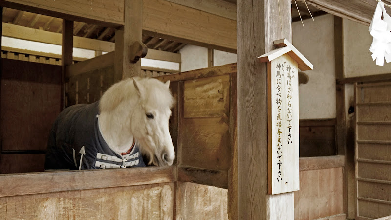 金比羅参り 写真4