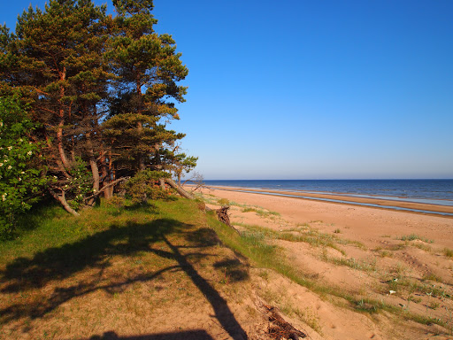 Cape Kolka