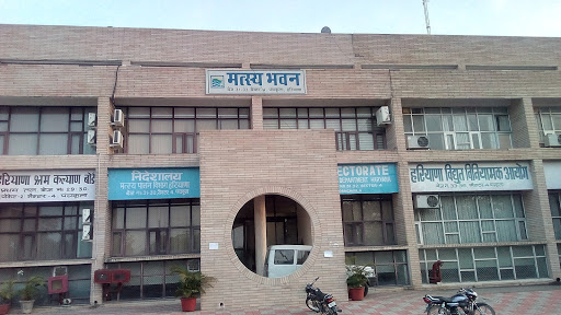 Directorate of Fisheries Department Haryana, Bays No. 31, 32, Sector 4, Panchkula, Haryana 134108, India, Fishery, state HR