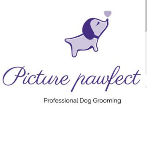 Picture Pawfect Professional Dog Grooming logo
