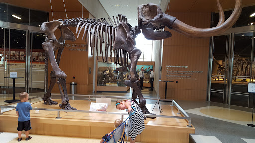 North Dakota Heritage Center & State Museum