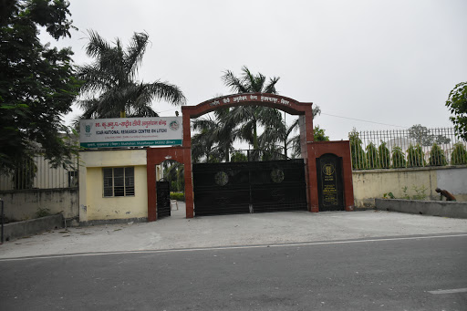 The Leprosy Mission Hospital, Ramna, Kanhauli, Muzaffarpur, Bihar 842002, India, Mission, state BR
