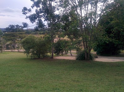Photos of Kauri Creek Campground