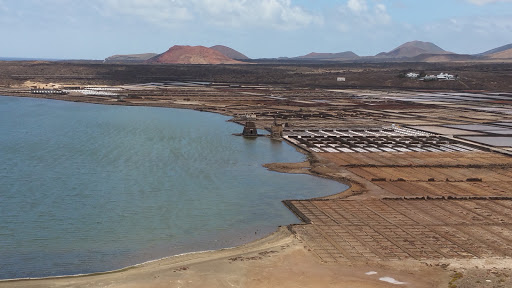 Salinas de Janubio S.L.