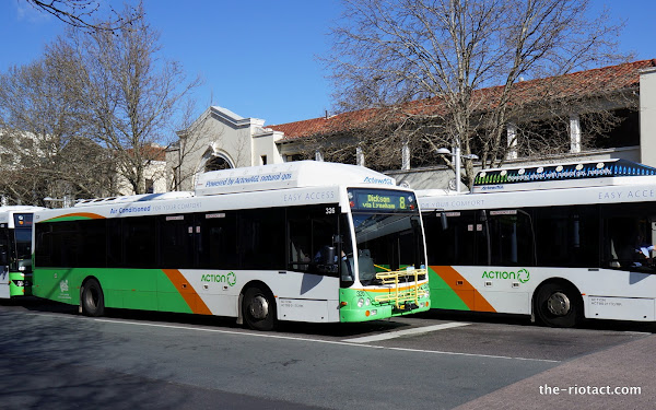 buses