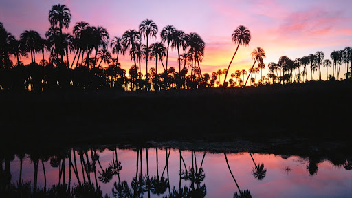 El Palmar National Park, Argentina.jpg