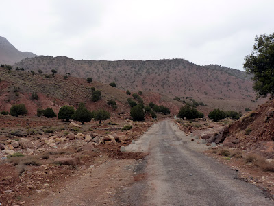 Ruta de las mil kasbahs con niños - Blogs de Marruecos - 11 De Ouarzazate a Marrakech pasando por Telouet (4)