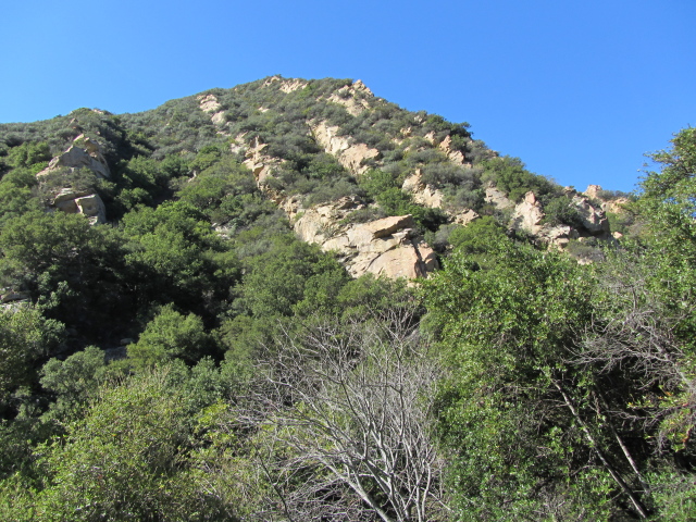 canyon walls, lines of rocks with trees between