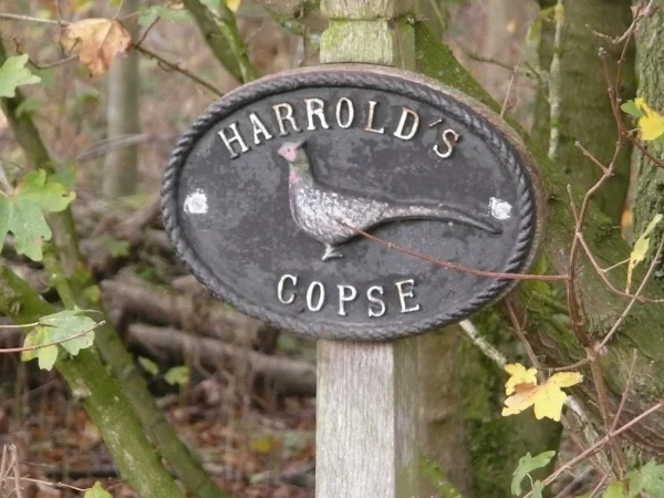 Harrolds Copse