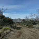 Walking along Round Mountain Trail (289277)