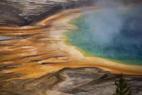 NUESTRO VIAJE AL PLEISTOCENO: YELLOWSTONE Y GRAND TETON - Blogs de USA - YELLOWSTONE NATIONAL PARK (20)