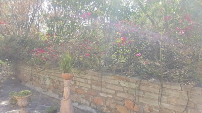 Photos of Casa museo Gene Byron