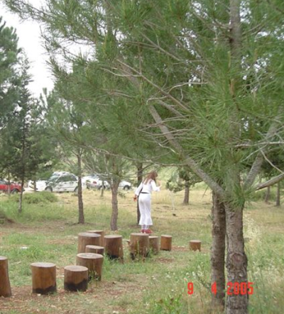 Photos of Shoham Forest Park