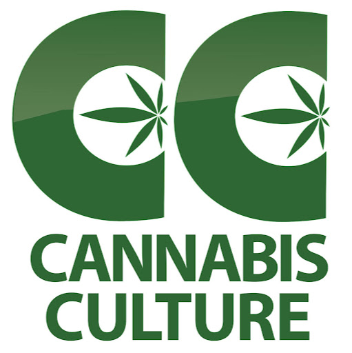 Cannabis Culture logo