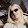 Katie Volz Katie Volz's profile photo