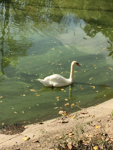 Naples Zoo