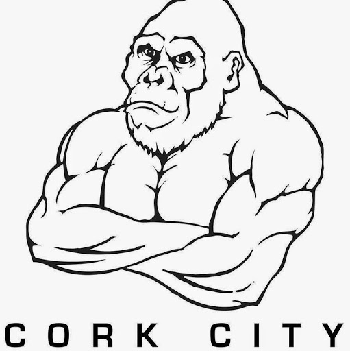 SBGi Cork City logo
