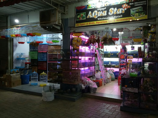 AQUA STAR, Shop No G 38 Ground Floor Smart City , Behind Sadar Bazar , Opp Smart, Planet ,Th, Mangaluru, Karnataka 575021, India, Aquarium, state KA