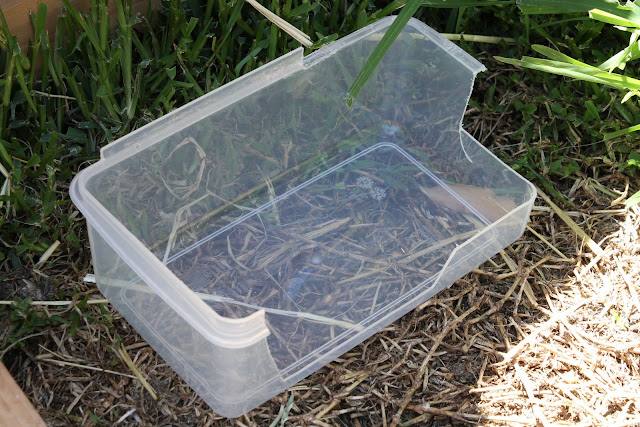 Weathershield fashioned from a plastic food container
