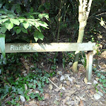 Rain Forest sign in the Blackbutt Reserve (399709)