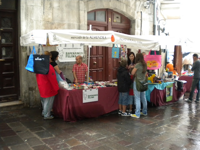Esperanza Felina en "El Mercado de La Almendra" en Vitoria - Página 9 DSCN5540