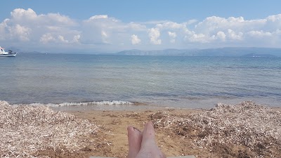 Photos of Island Beach Resort
