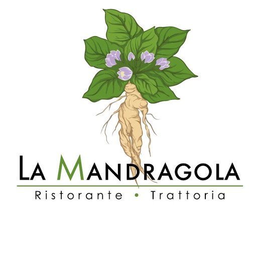 Ristorante LA MANDRAGOLA logo