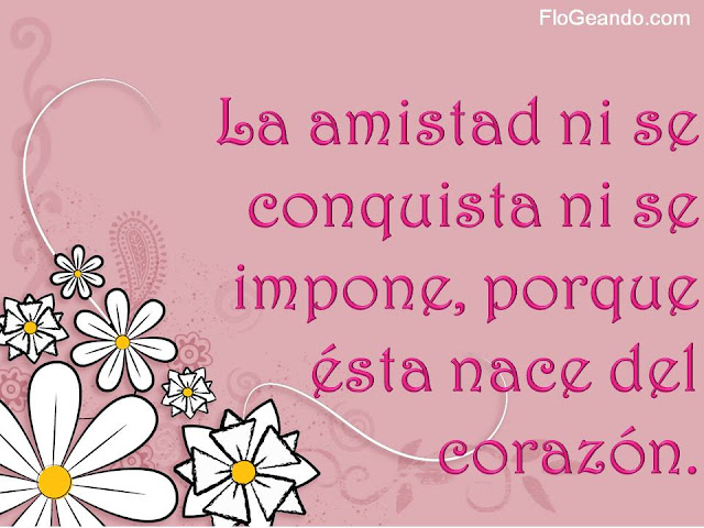 La amistad no se conquista
