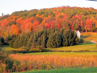 Fall Foliage in upstate New York