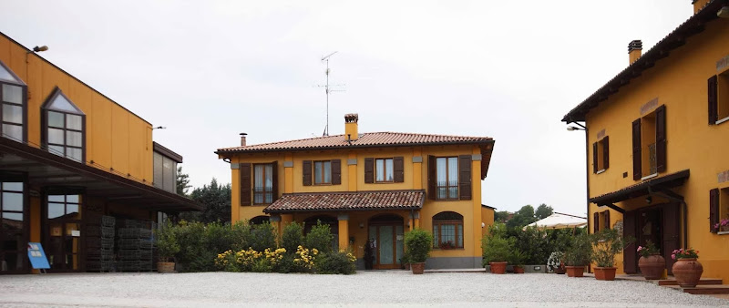Main image of Gaggioli Maria Letizia Azienda Agricola (Colli Bolognesi)